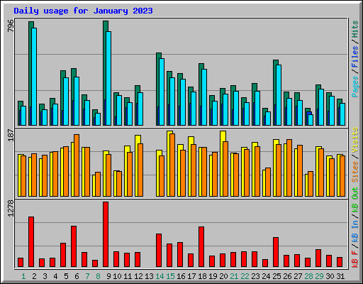 Daily usage for January 2023