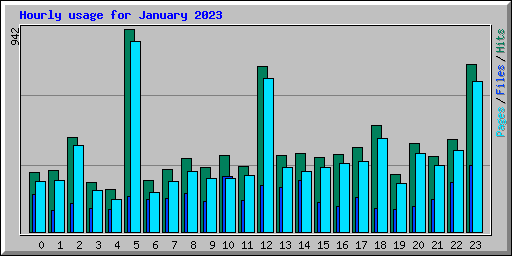 Hourly usage for January 2023