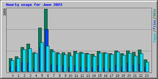 Hourly usage for June 2023