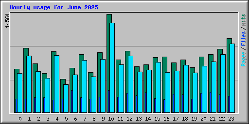 Hourly usage for June 2025