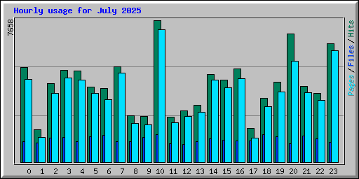 Hourly usage for July 2025