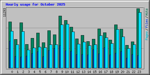 Hourly usage for October 2025