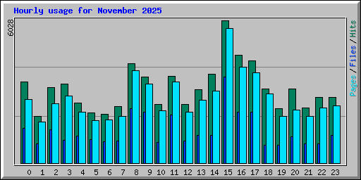 Hourly usage for November 2025