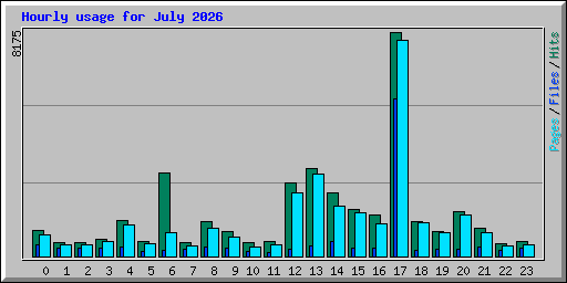 Hourly usage for July 2026