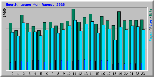 Hourly usage for August 2026